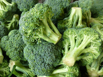 Broccoli