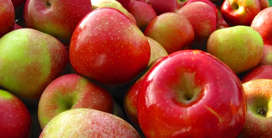 Apples