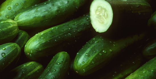 Cucumber