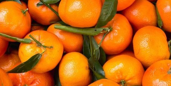 Clementines