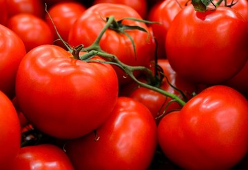 Tomatoes