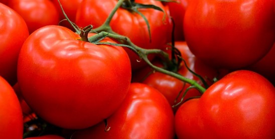 Tomatoes