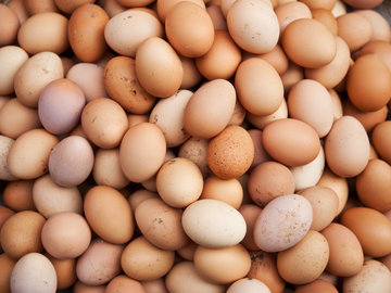 Eggs