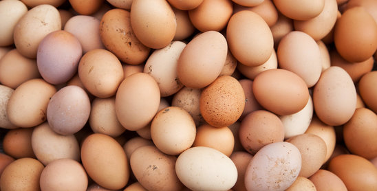 Eggs