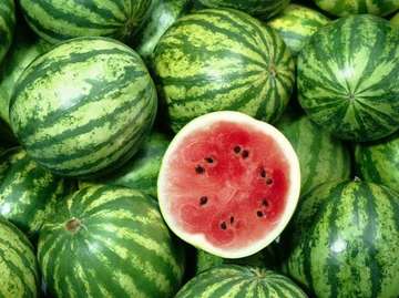 Watermelon