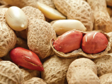 Peanuts
