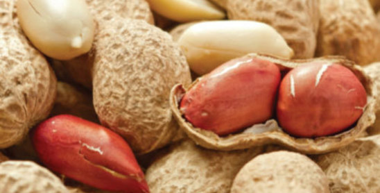 Peanuts